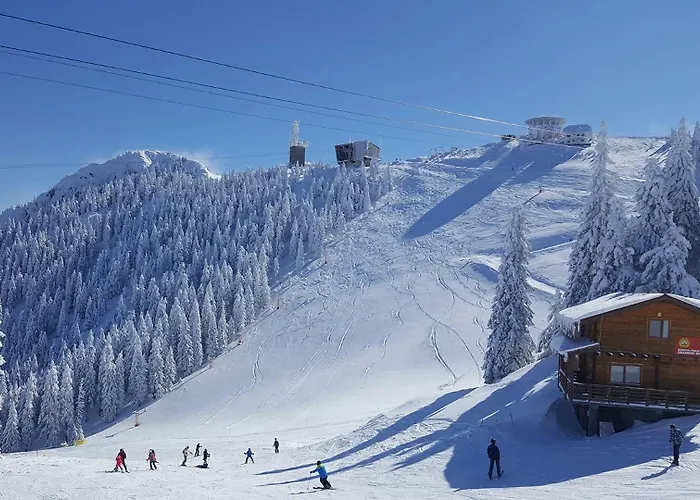 דירה Cozy Corner בראשוב